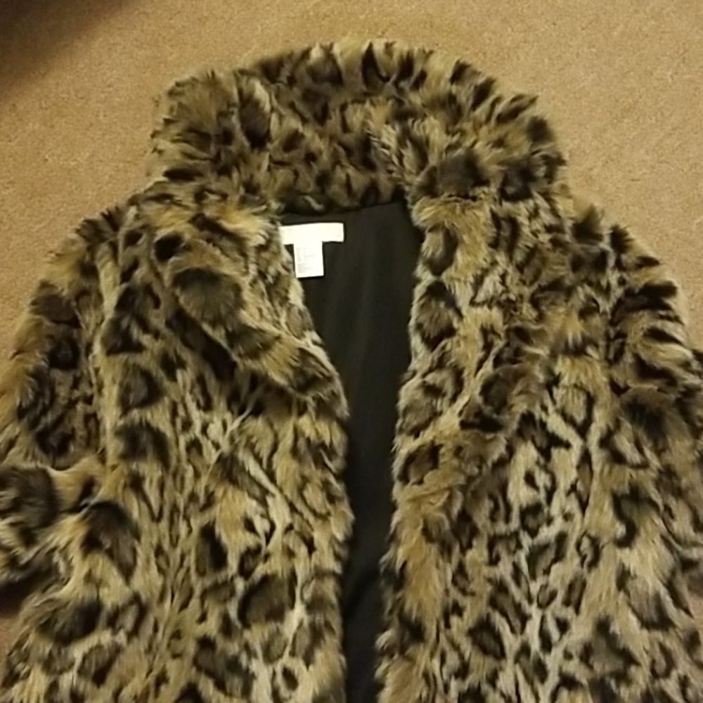 Coat - Picture 3 of 5